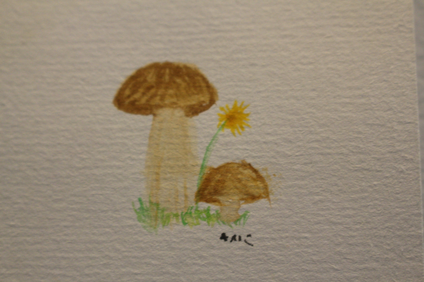 Mushroom Paintings
