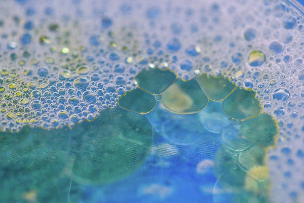 Blue Fizz - Art Print