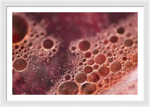 Red Bubbles - Framed Print
